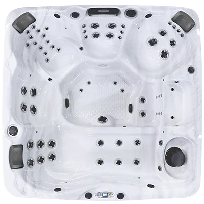 Avalon EC-867L hot tubs for sale in Scranton